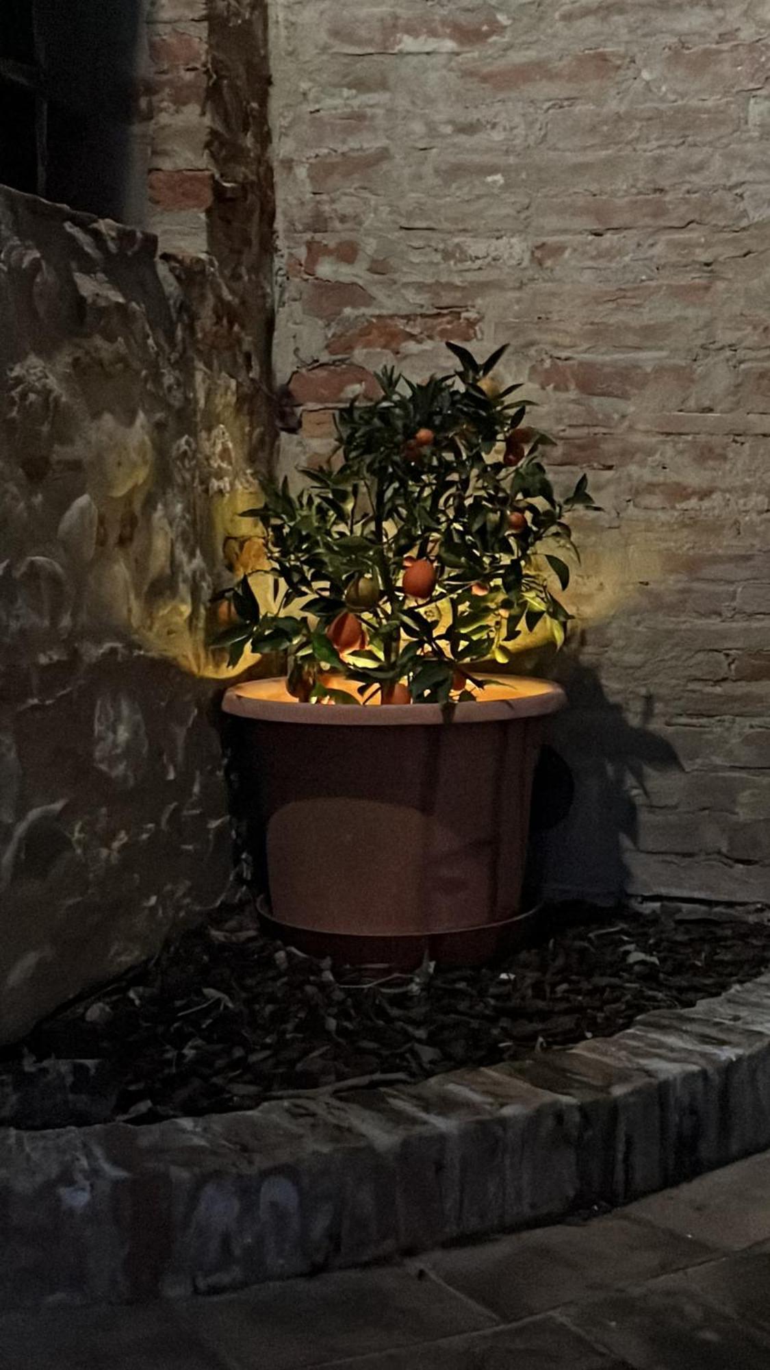 Torre A Castello La Casa D'Ambraヴィラ エクステリア 写真